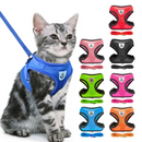 Coleira Ajustável para Cães e Gatos – StreetPet™