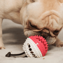 Corda de Tração para Cães – PupHappy