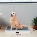 Casa de Banho Inteligente para Animais de Estimação