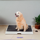 Casa de Banho Inteligente para Animais de Estimação