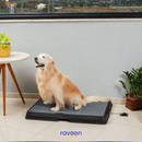 Casa de Banho Inteligente para Animais de Estimação