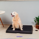 Casa de Banho Inteligente para Animais de Estimação