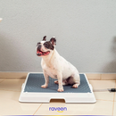 Casa de Banho Inteligente para Animais de Estimação