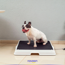 Casa de Banho Inteligente para Animais de Estimação