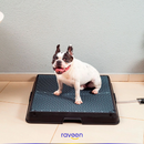 Casa de Banho Inteligente para Animais de Estimação