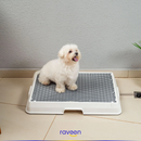 Casa de Banho Inteligente para Animais de Estimação