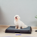 Casa de Banho Inteligente para Animais de Estimação