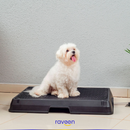 Casa de Banho Inteligente para Animais de Estimação